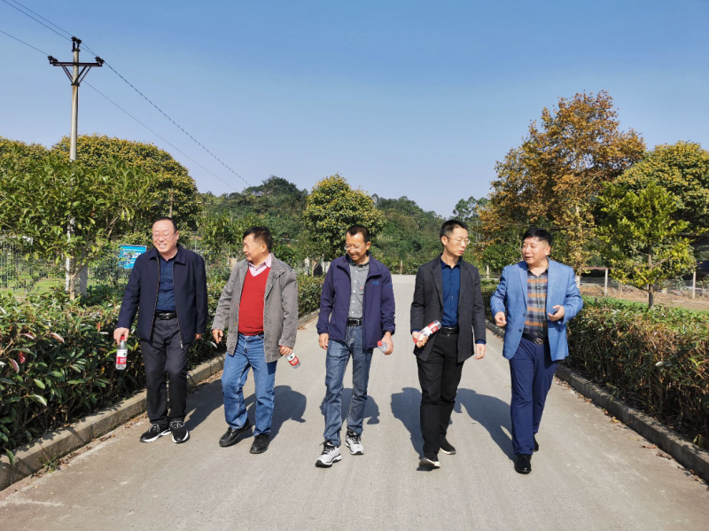 WPS图片-修改尺寸.png